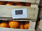 Donacija mandarina od Centra Stančić