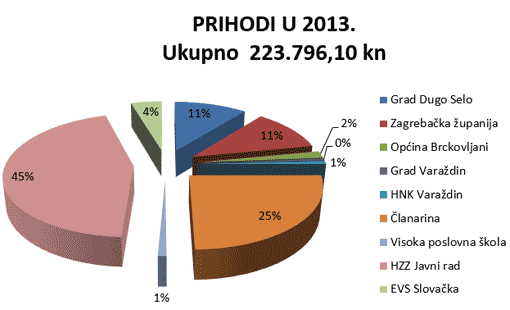 Prihodi udruge ADHD I JA za 2013. godinu